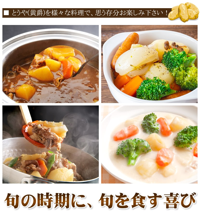 北海道産 新じゃが じゃがいも とうや 