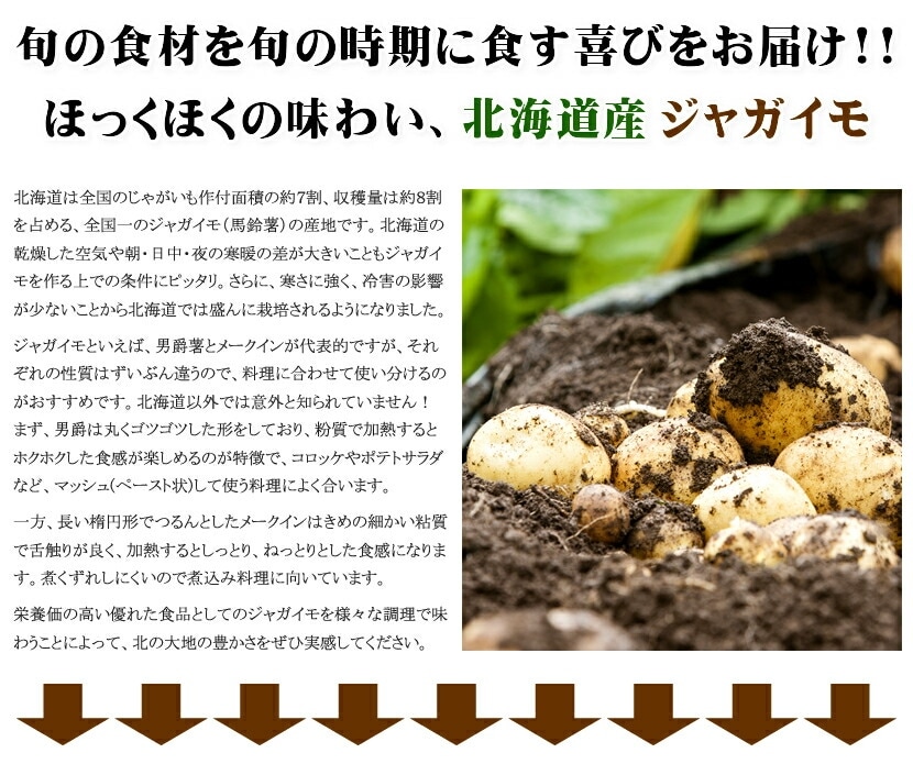 北海道産 じゃがいも きたかむい