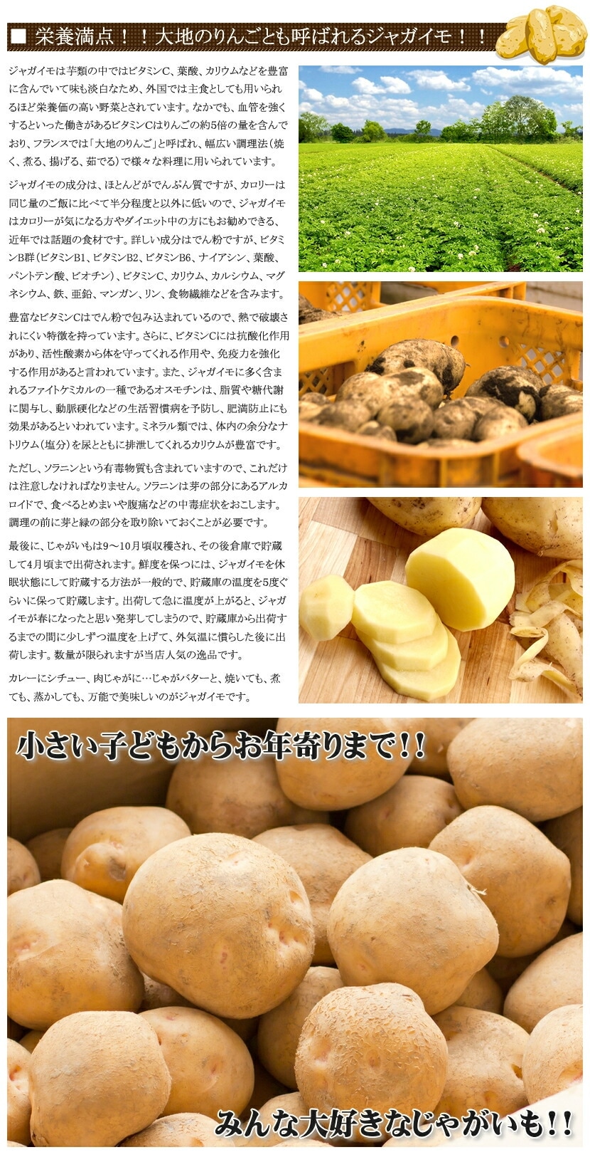 北海道産 じゃがいも きたかむい