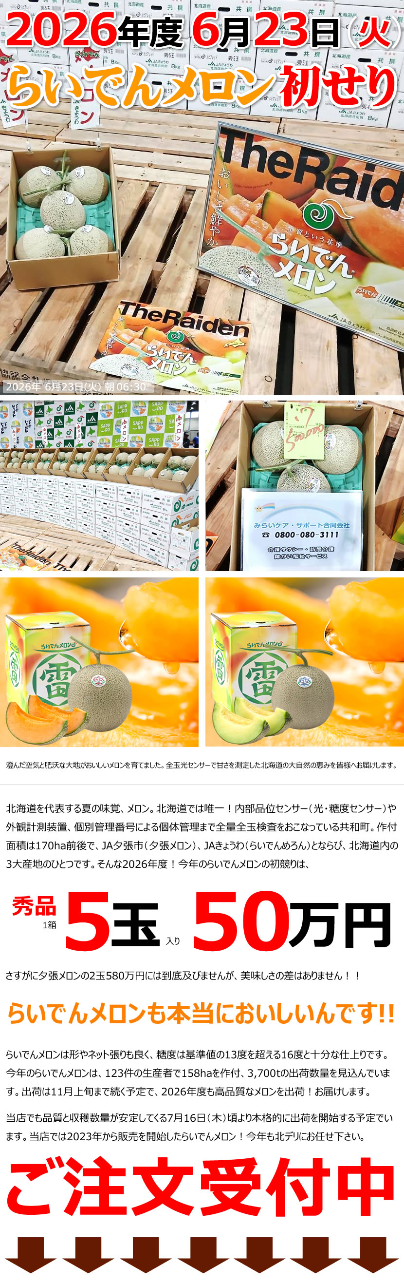 北海道産 らいでんメロン 2026 初競り