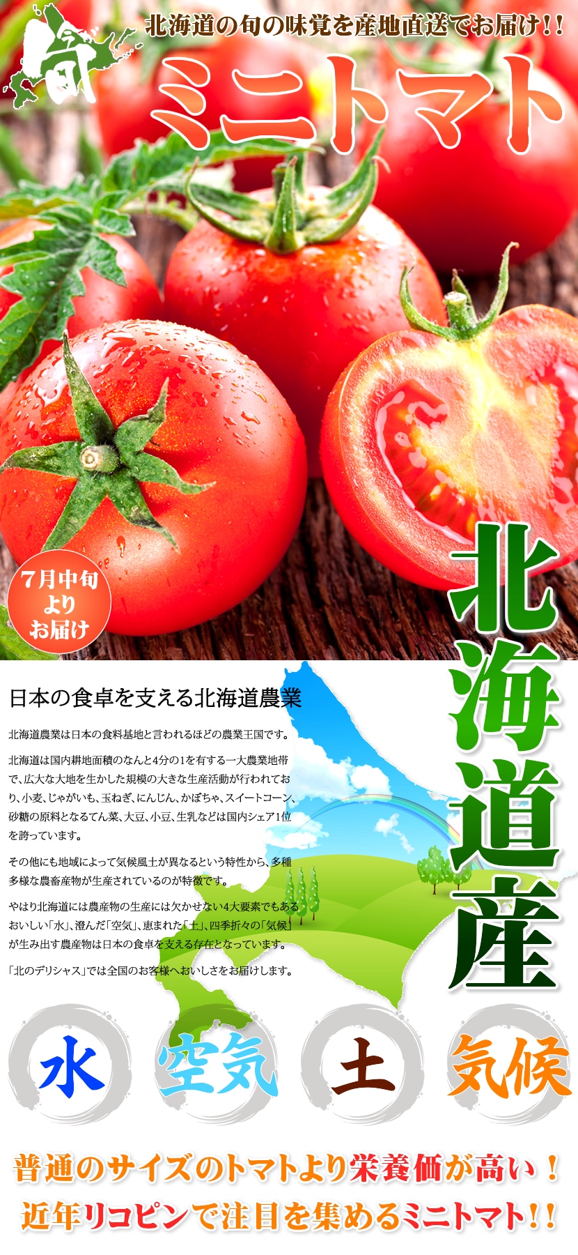 北海道産 ミニトマト