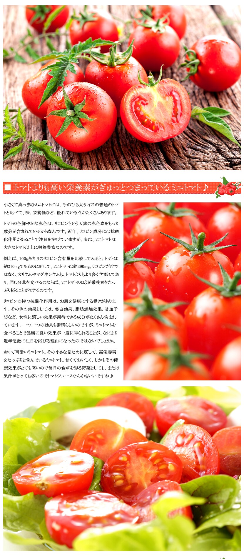 北海道産 ミニトマト
