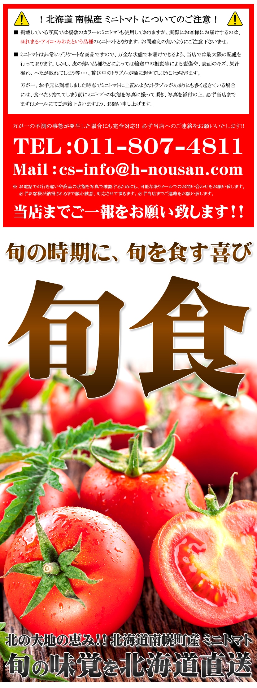 北海道産 ミニトマト
