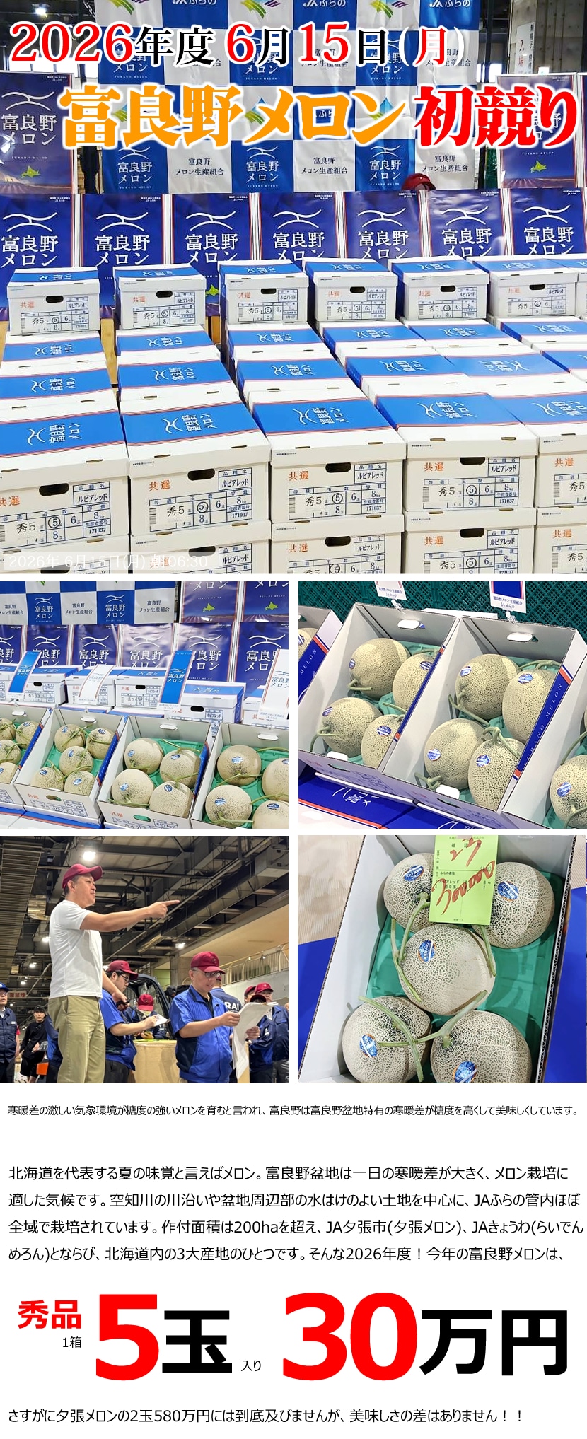 北海道産 富良野メロン 2026 初競り