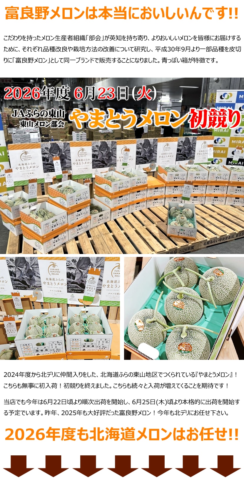 北海道産 富良野メロン 2026 初競り