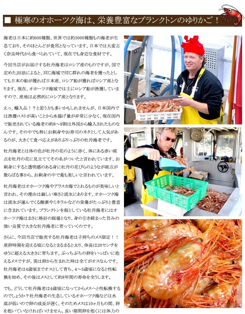 北のデリシャス ボタンエビ