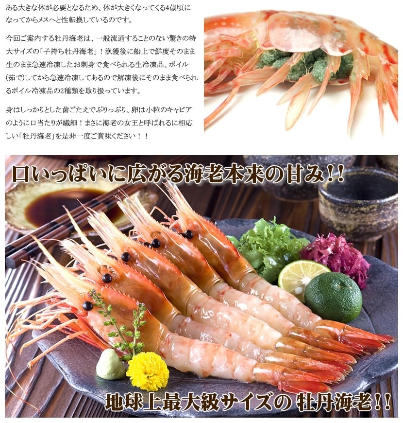 北のデリシャス ボタンエビ