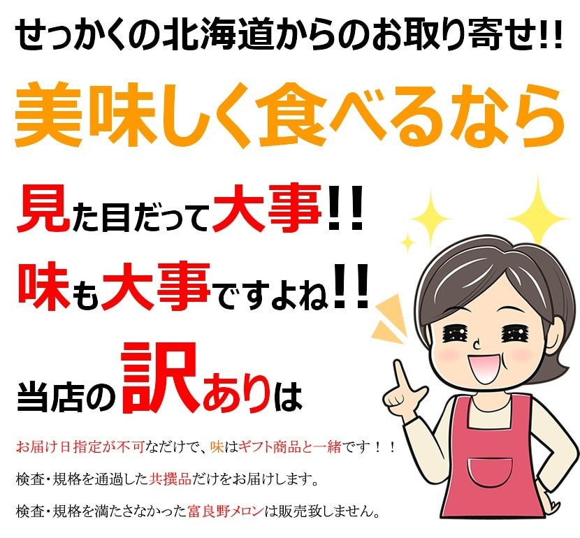 北海道産 ご家庭用 富良野メロン
