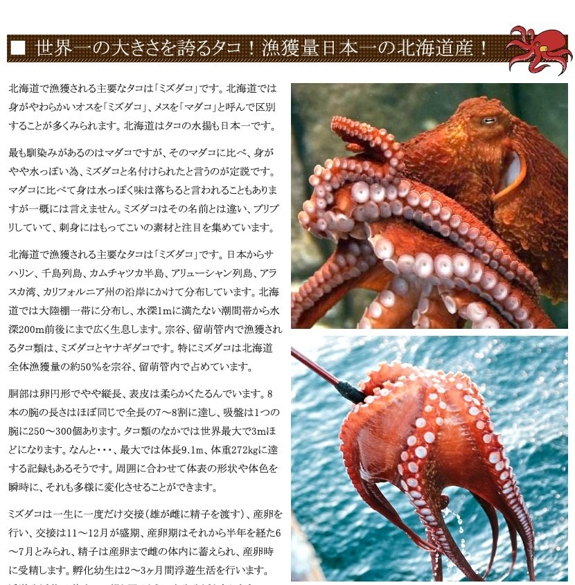 北海道 たこしゃぶ