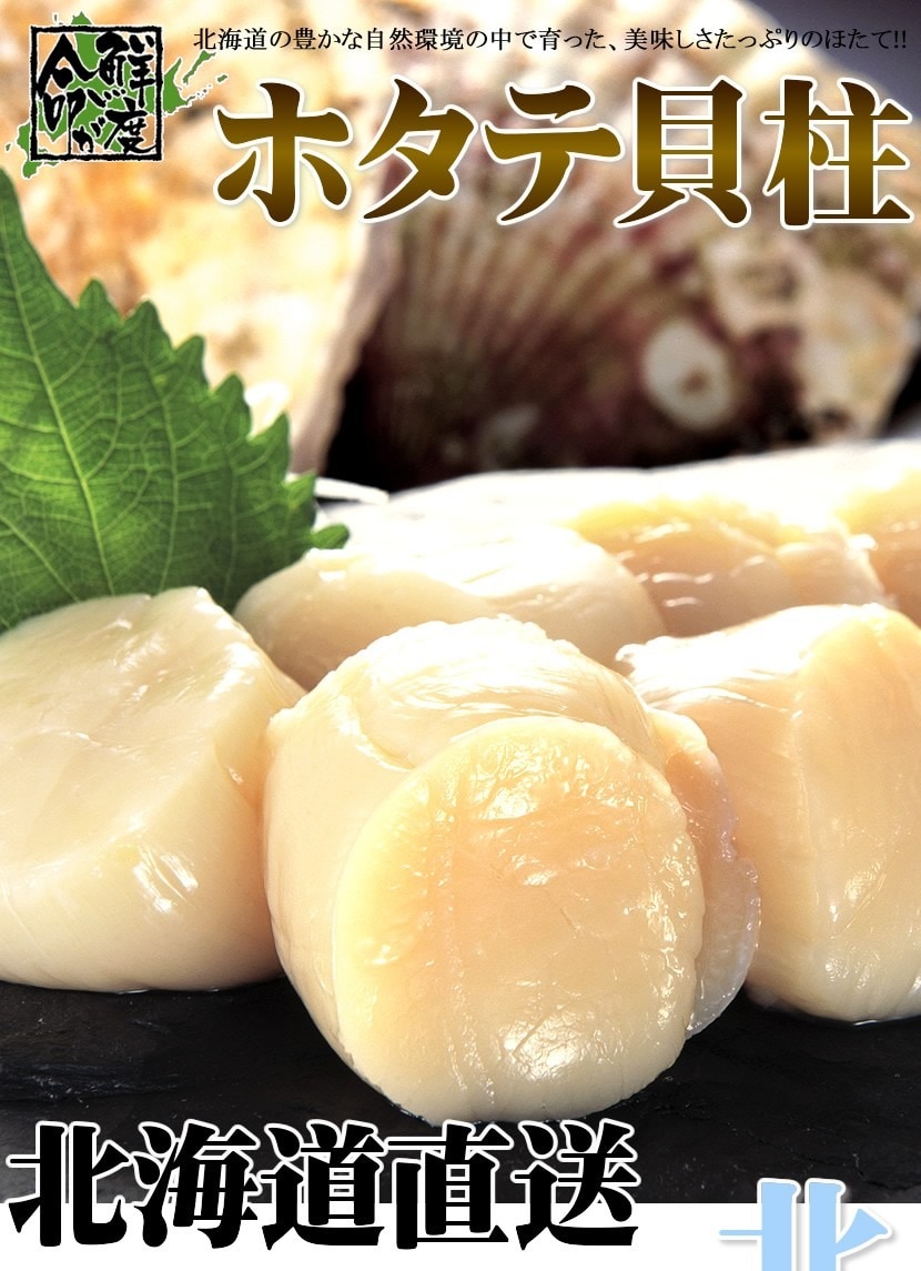 北海道産 訳あり ホタテ貝柱