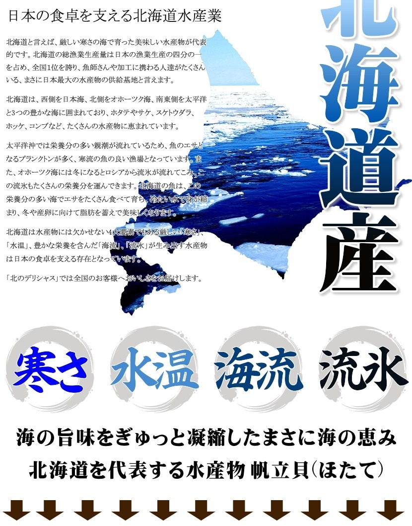 北海道産 訳あり ホタテ貝柱