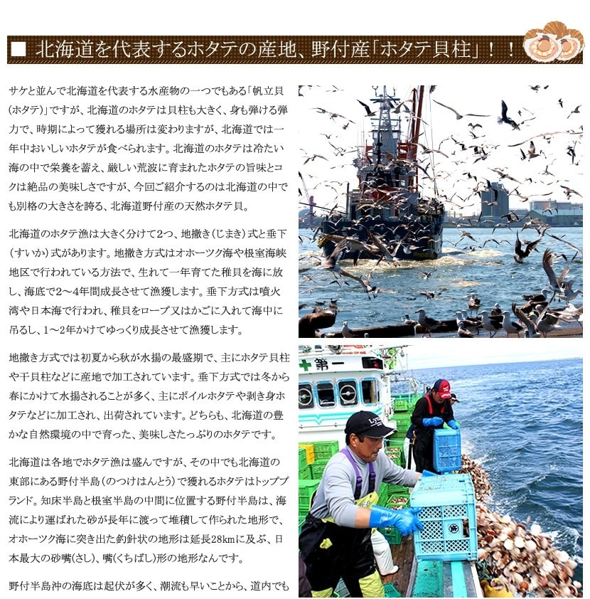 北海道産 訳あり ホタテ貝柱