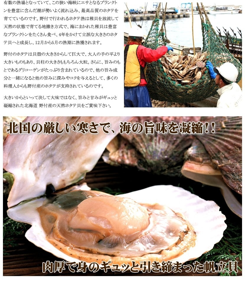北海道産 訳あり ホタテ貝柱