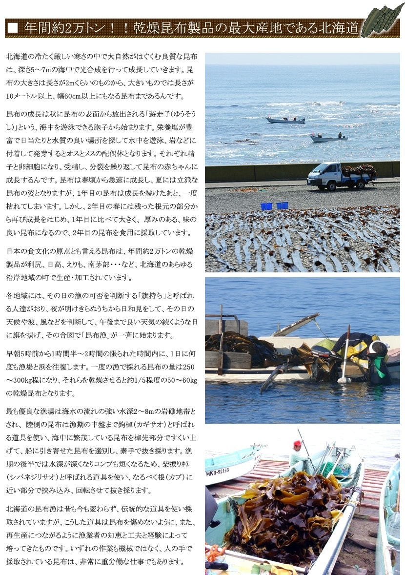 北海道産 利尻昆布