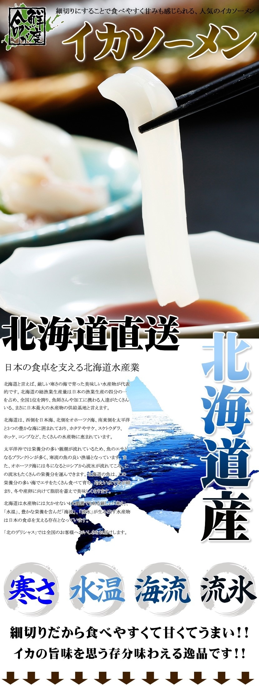 北海道 イカソーメン