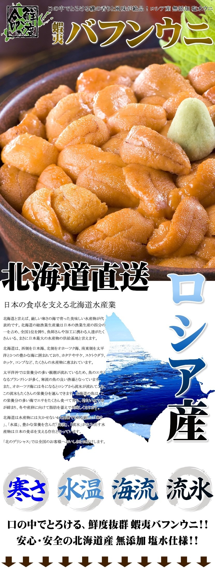 ロシア産 塩水 生エゾバフンウニ