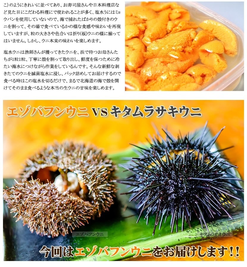 ロシア産 塩水 生エゾバフンウニ