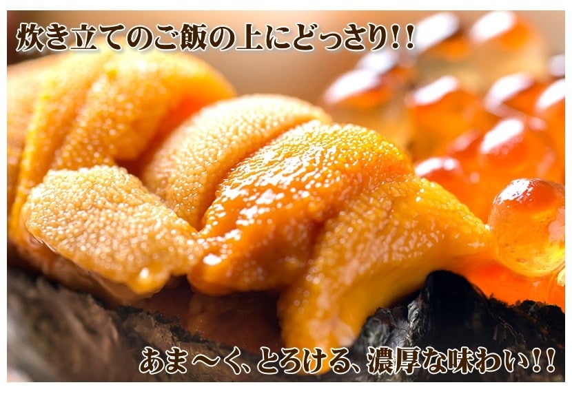 ロシア産 塩水 生エゾバフンウニ