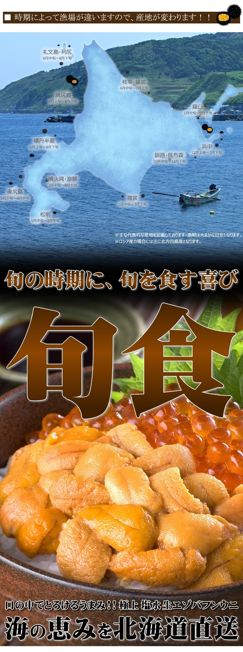 ロシア産 塩水 生エゾバフンウニ