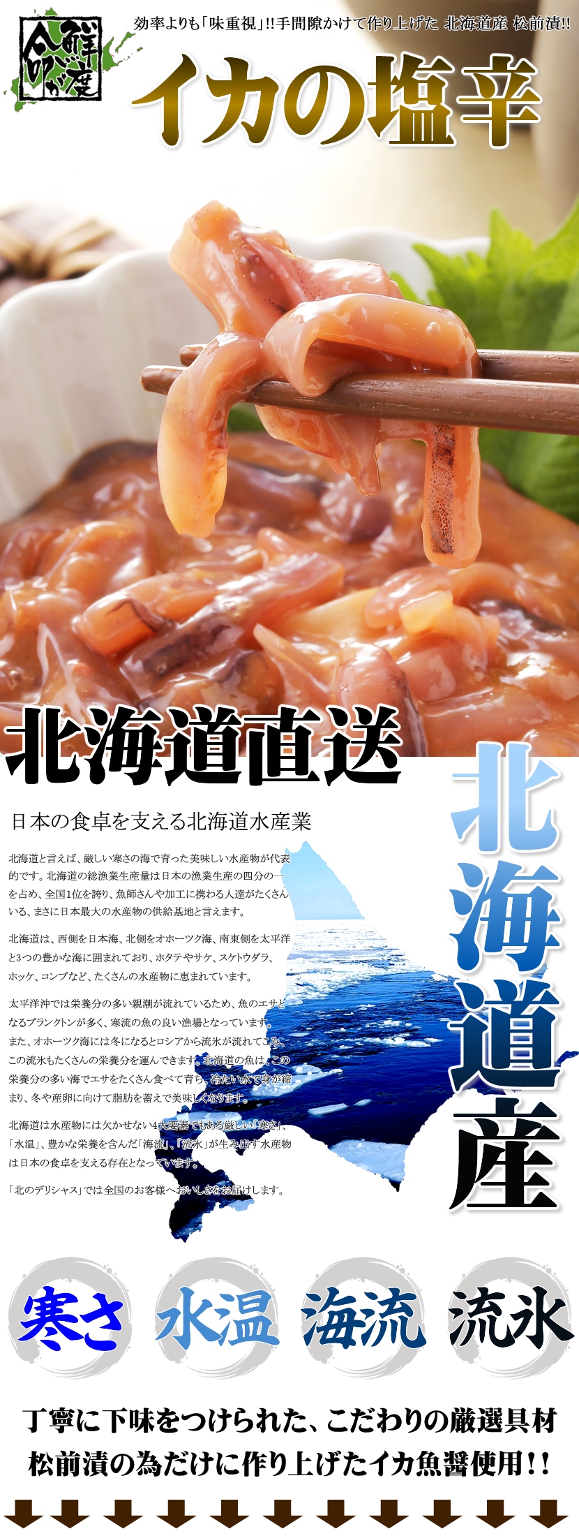 北のデリシャス 北海道 イカの塩辛