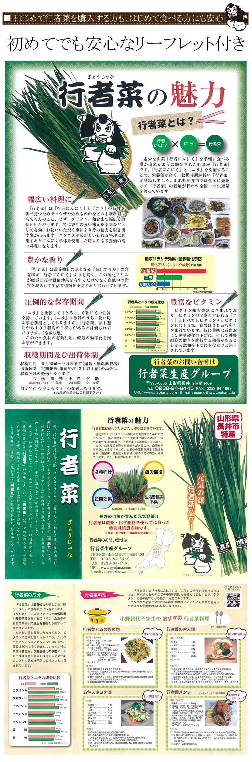 山形県産 行者菜 