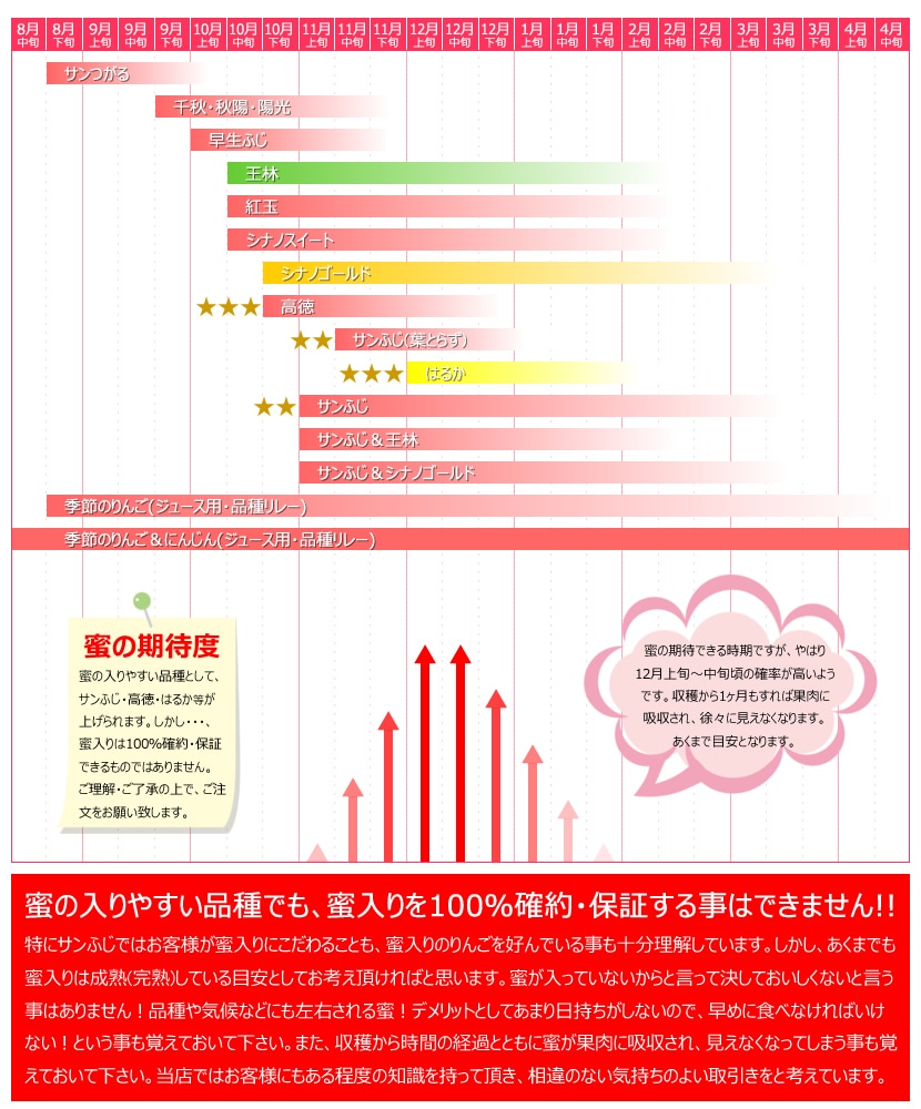 山形県産 りんご