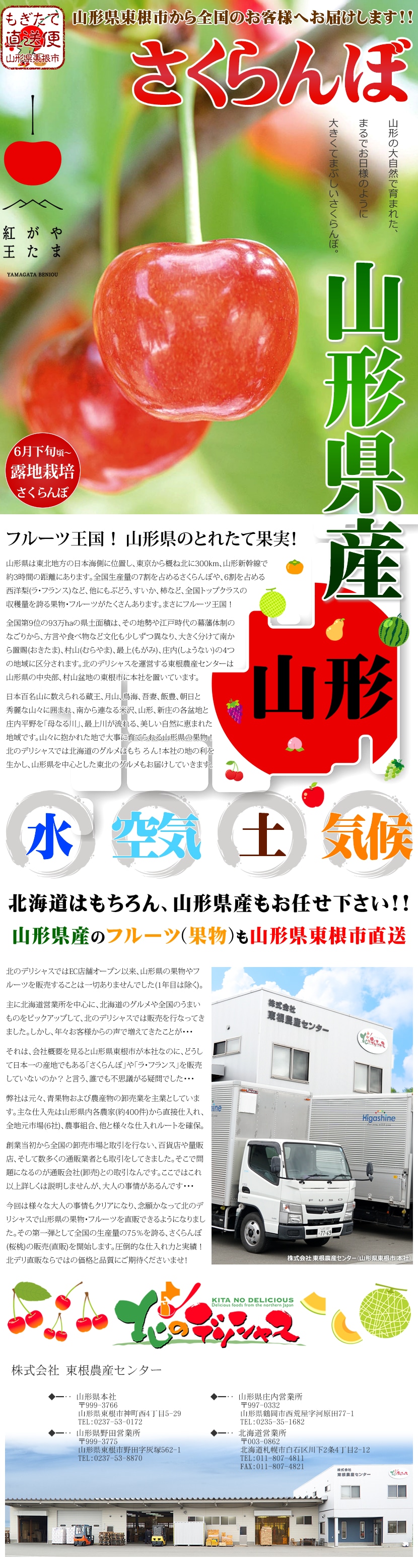 山形産 さくらんぼ 紅王