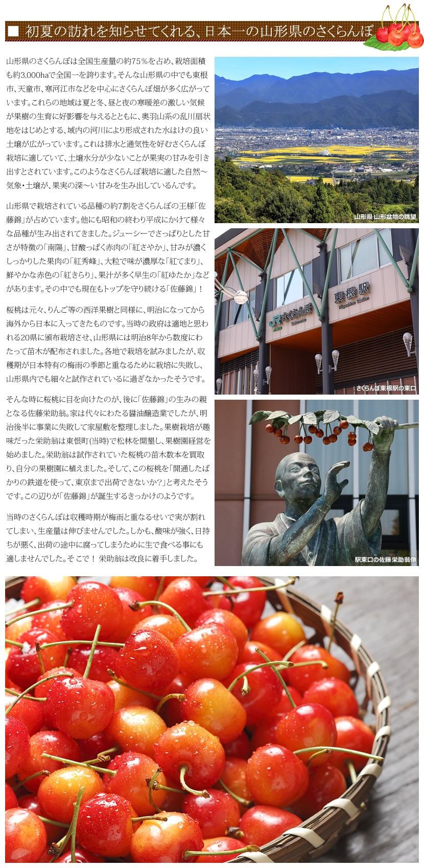 山形産 さくらんぼ 紅王