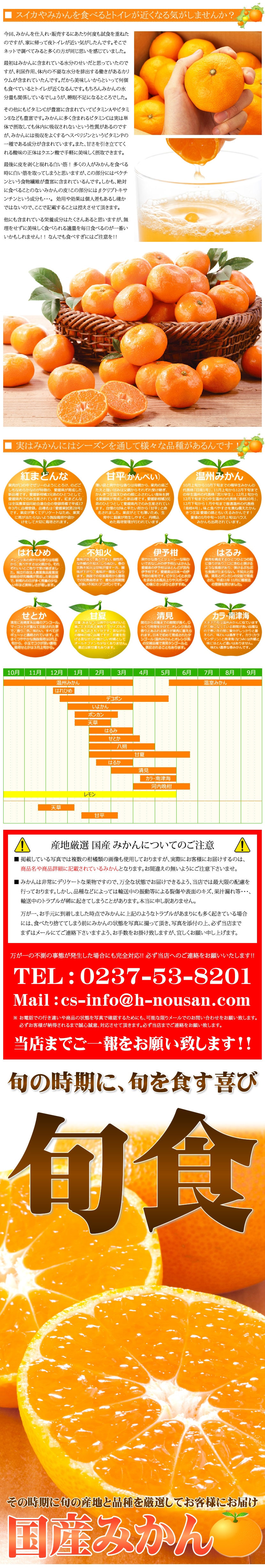 国産 温州みかん