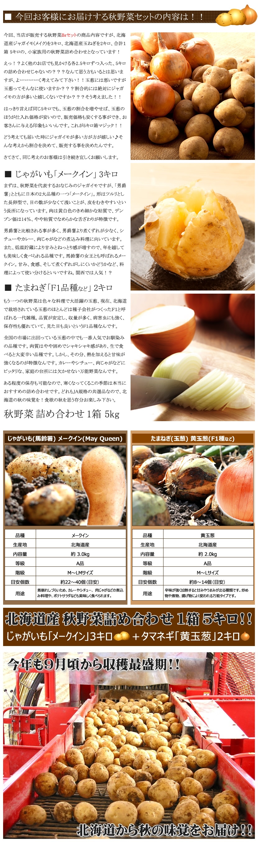 北海道産 秋野菜