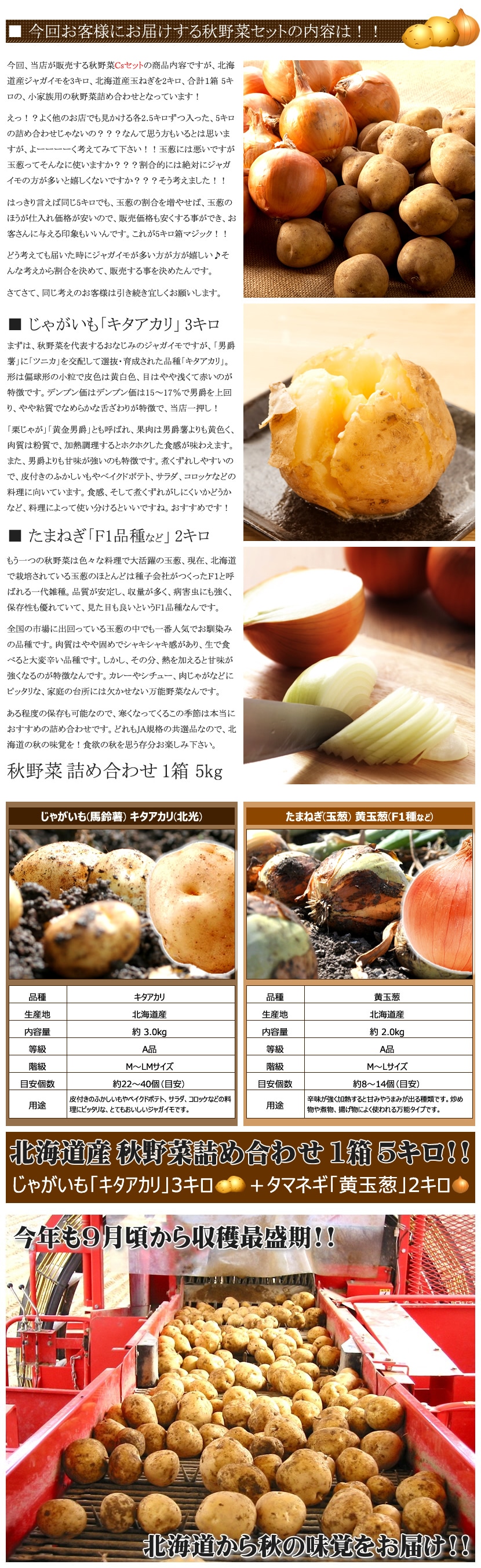 北海道産 秋野菜