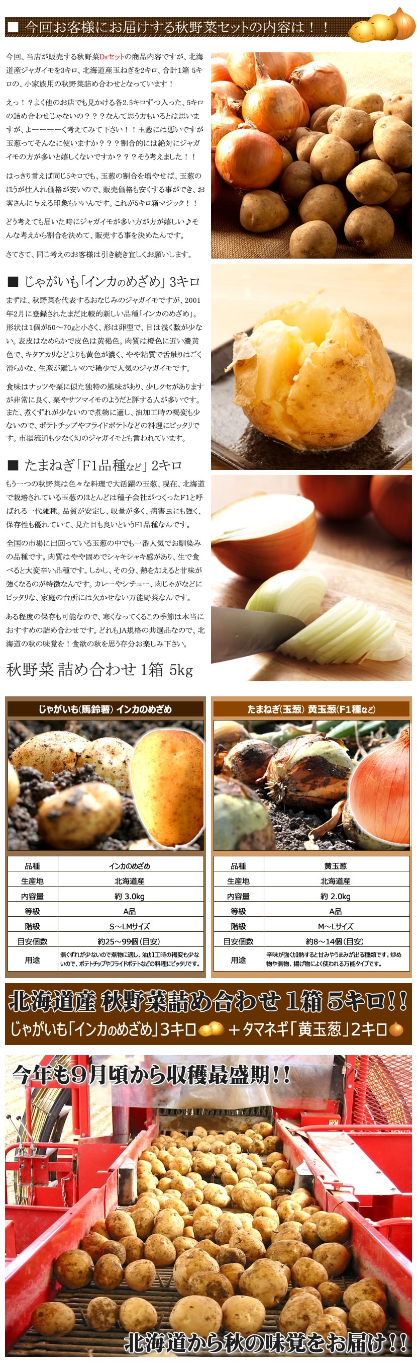 北海道産 秋野菜