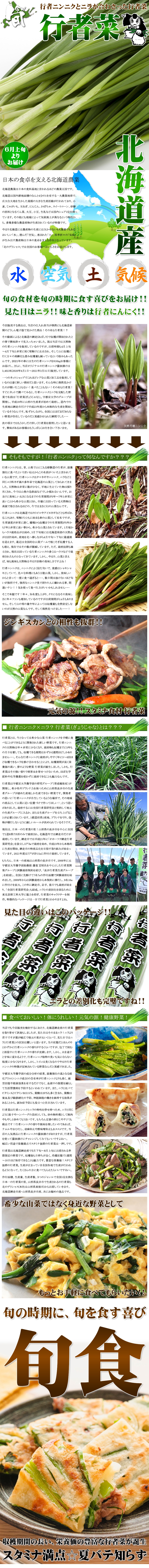 北海道産 網走 行者菜