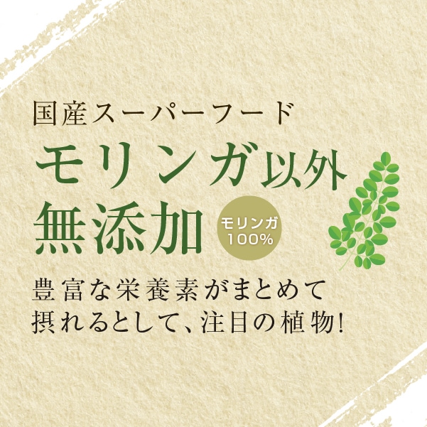 混ぜ物なし！沖縄県産モリンガ100％の健康茶.jpg