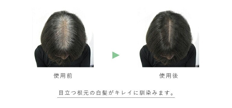 白髪使用前・使用後