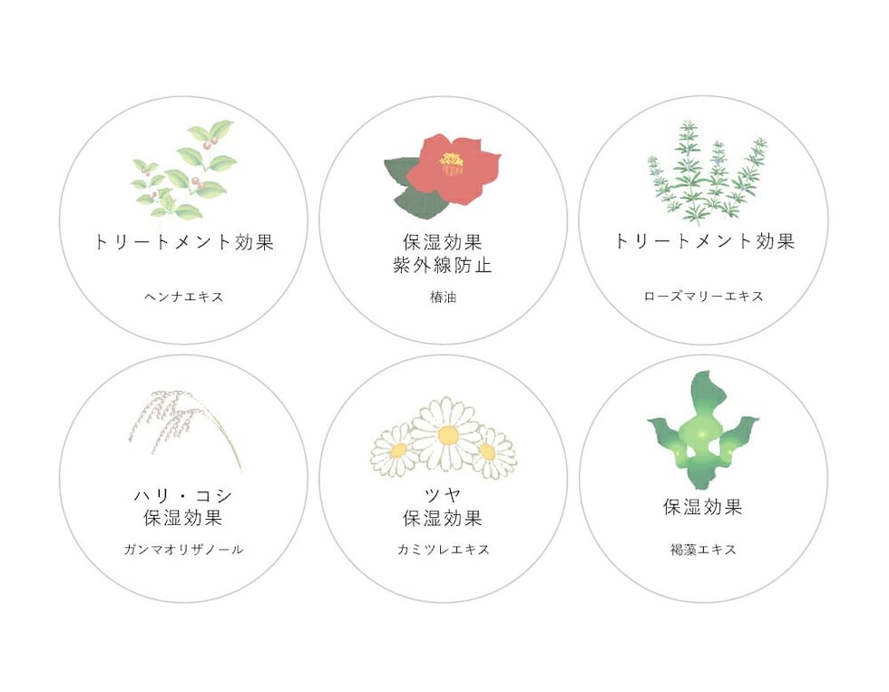 髪を潤す6つの植物エキス