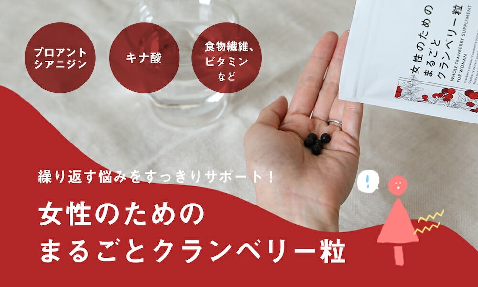 H0290050回遊バナー