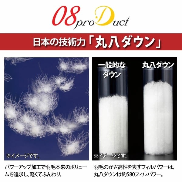 日本の技術力「丸八ダウン」