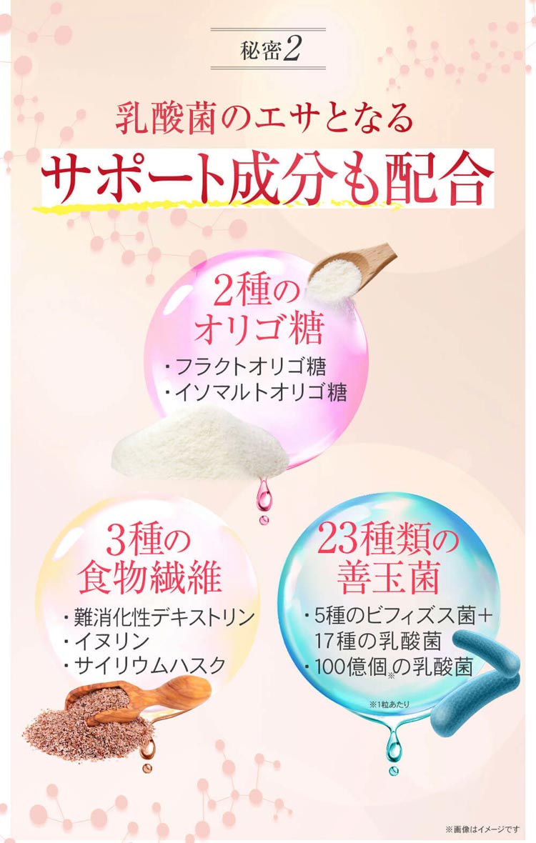 乳酸菌のエサとなるサポート成分も配合