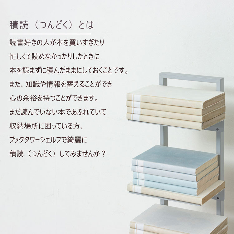 積読/つんどくとは