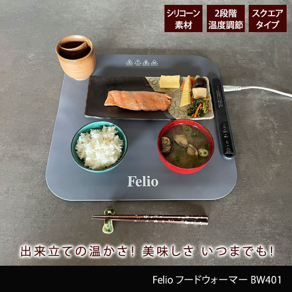 Felio フードウォーマー スクエアタイプ 80度 100度 常温保温 食品保温プレート 電気保温プレート BW401