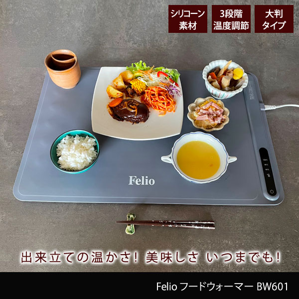 Felio フードウォーマー 大判タイプ 60度 80度 100度 常温保温 食品保温プレート 電気保温プレート BW601