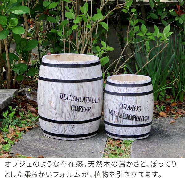 オブジェのような存在感