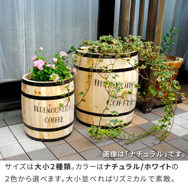 サイズは大小2種類