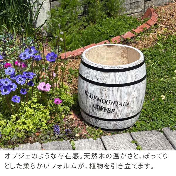 オブジェのような存在感