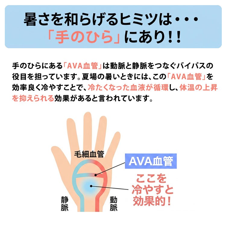 暑さを和らげるヒミツは手のひらにあり
