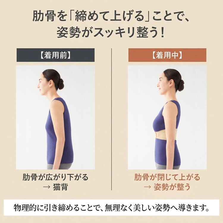 肋骨を締めて上げることで姿勢がスッキリ整う