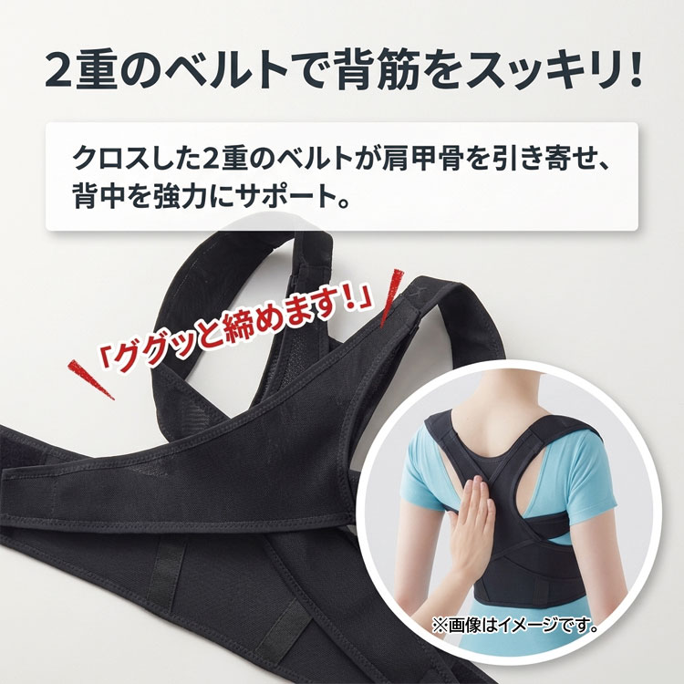 2重のベルトで背筋をスッキリ