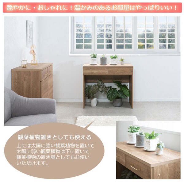 観葉植物置きとして