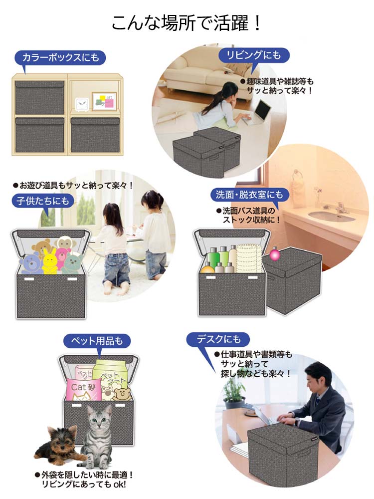 こんな場所で活躍/カラーボックス/リビング/子ども部屋/洗面・脱衣所/ペット用品/デスク周り